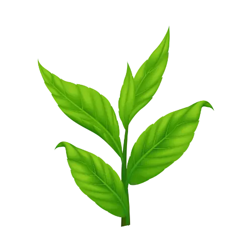🎁🌬️ ENTDECKUNGS-PACK 9 Atemzüge (27 Nachfüllungen) – 9 AROMEN FÜR EINEN NEUEN ATEMZUG MY-PIPO